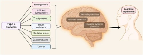 Diabetes and Cognitive Function: Understanding the Connection 5 diabetes and cognitive decline