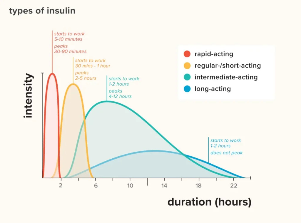 best long acting insulin