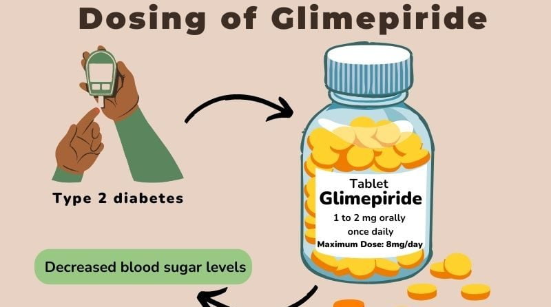 Oral Agents in Diabetes: The Efficacy of Glimepiride 5 dosing-of-glimepiride